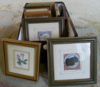 Various framed miniature pictures