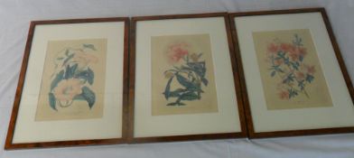 3 framed prints of flowers