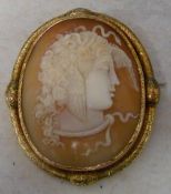 9ct gold lg cameo shell brooch H 6 cm W 5 cm (possibly Medusa)