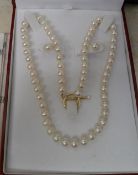 Gold plated & fresh water pearl necklace and earring set