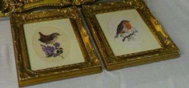 2 gilt framed prints of birds signed in pencil by artist