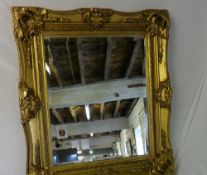 Gilt framed wall mirror