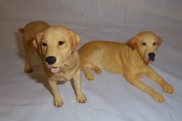 2 Border Fine Arts Labrador's, boxed