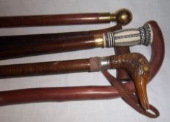 5 walking sticks