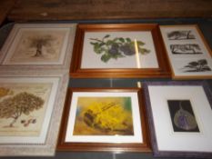 6 framed prints of woodland trees, fruit, etc