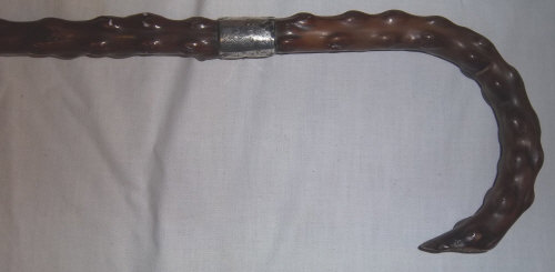 Silver collared gnarled walking stick Lon 1900 approx 90 cm tall