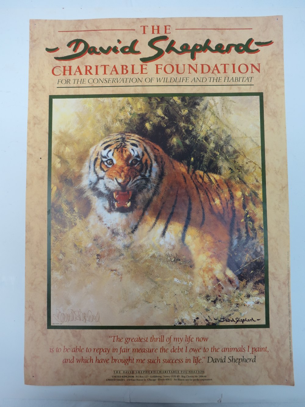 David Shepherd. Snarling tiger, signed lower left, colour print, unframed. 42 x 30cm.