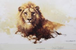 David Shepherd OBE (b.1931) ARR, ""Lion Sketch"", Signed and numbered 323/850 Colour print, 14 x