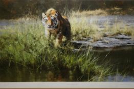 David Shepherd OBE (b.1931) ARR, ""The Bandipur Tiger"", Signed and numbered 83/350, Colour print,