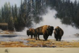 David Shepherd OBE (b.1931) ARR, ""The Hot Springs of Yellowstone"", Signed and numbered 32/1500,