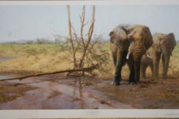 David Shepherd OBE (b.1931) ARR, ""In the Masai Mara"", Signed and numbered 116/650, Colour print,