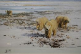 David Shepherd O.B.E (b. 1931) ARR, ""Lone Wanderers of the Arctic"", Signed and numbered 589/1500