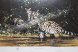 David Shepherd OBE (b.1931) ARR, ""Clouded Leopard and Cubs"", Signed and numbered 273/950 Colour