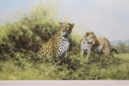 David Shepherd O.B.E (b. 1931) ARR, ""Leopards"", Signed and numbered 222/350 in pencil, Colour