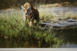 David Shepherd OBE (b.1931) ARR, ""The Bandipur Tiger"", Signed and numbered 176/350, Colour print,