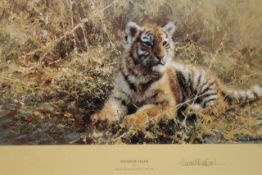 David Shepherd OBE (b.1931) ARR, ""Teenage Tiger"", Signed and numbered 1109/1500 Colour print, 20