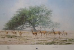 David Shepherd OBE (b.1931) ARR, ""The Arabian Sand Gazelle and the Tree of Life, Bahrain"", Signed