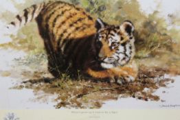 David Shepherd OBE (b.1931) ARR, ""When i grow up i want to be a Tiger"", Colour print, 25 x 36cm.