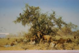 David Shepherd O.B.E (b. 1931) ARR, ""Africa"", Signed and numbered 85/350 in pencil, Colour print,