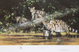 David Shepherd OBE (b.1931) ARR, ""Clouded Leopards and Cubs"", Signed and numbered in pencil 788/