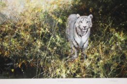 David Shepherd OBE (b.1931) ARR, ""The White Tiger of Rewa"", Signed and numbered in pencil 273/