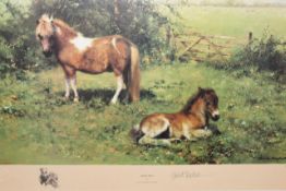 David Shepherd OBE (b.1931) ARR, ""Shelties"", Signed and numbered in pencil 23/40, Colour print,