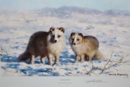 David Shepherd OBE (b.1931) ARR, ""Arctic Foxes"", Signed and numbered in pencil 48/1500, Colour