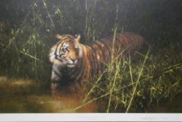 David Shepherd O.B.E (b. 1931) ARR, ""Into the Sunlight, There Came a Tiger"", Signed and numbered