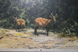 David Shepherd OBE (b.1931) ARR, ""African Afternoon"", Signed and numbered 111/850, Colour print,