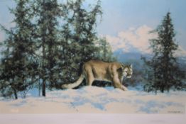 David Shepherd O.B.E (b. 1931) ARR, ""Mountain Lion"", Signed and numbered 153/350 in pencil,