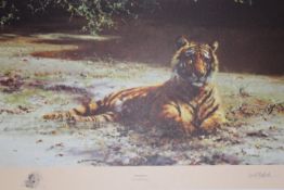 David Shepherd OBE (b.1931) ARR, ""Indian Siesta"", Signed and numbered in pencil 295/1300, Colour