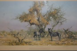 David Shepherd OBE (b.1931) ARR, ""Zebra`s and Colony Weavers"", Signed in pencil, Colour print, 41