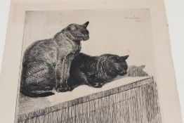 AFTER THEOPHILE ALEXANDRE STEINLEN (1859-1923) FRENCH, AN ETCHING OF TWO CATS, SIGNED AND