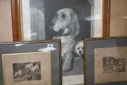 THREE 19TH.C.PRINTS DEPICTING SPORTING DOGS