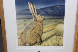 JOANNA MAY (CONTEMPORARY) ARR, STAR GAZING HARE - HARE BY THE WHITE HORSE OF UFFINGTON ON THE DOWNS,