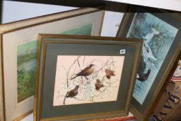 TWO WATERCOLOURS OF BIRDS AND A WATERCOLOUR OF A RETRIEVER