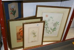 VARIOUS FLORAL WATERCOLOURS