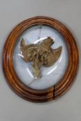 Taxidermy: a woodcock mounted as hanging game in oak frame behind convex glass, 65cm high.