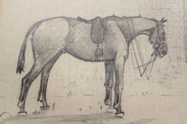 Follower of Cecil Aldin(1870-1935),Sketch of a standing horse,pencil,14 x 17.5cm.