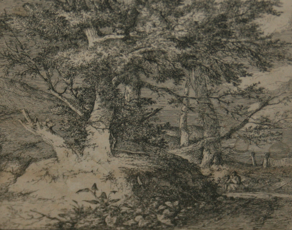 JOHN CROME (1768-1821, BRITISH)  ?Large Trees on a Mound?  black and white etching, circa 1834  6 ½