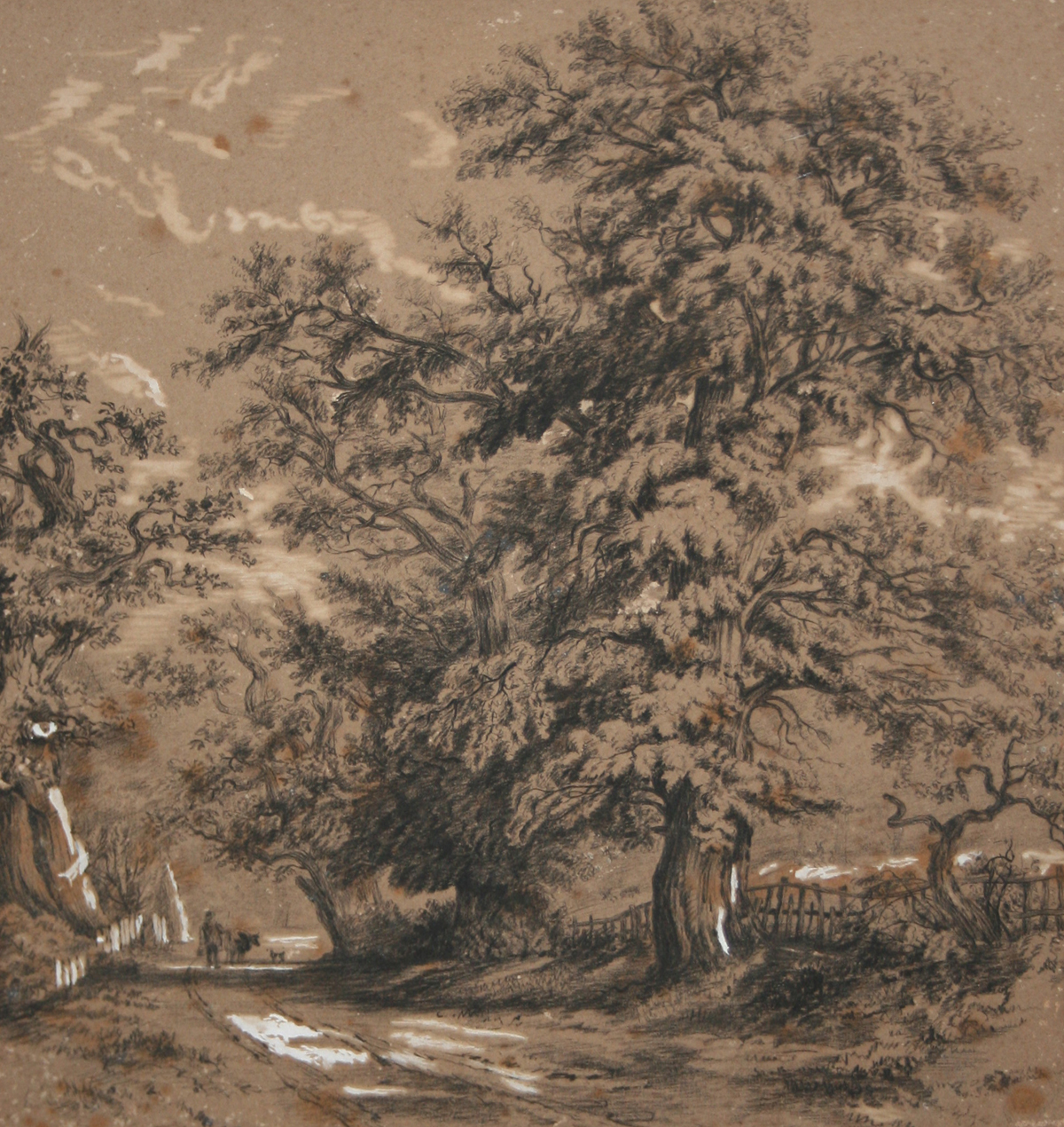 JOHN BERNEY LADBROOKE (1803-1879, BRITISH)  Wooded Lane Scenes  pair of pencil drawings heightened - Image 2 of 2