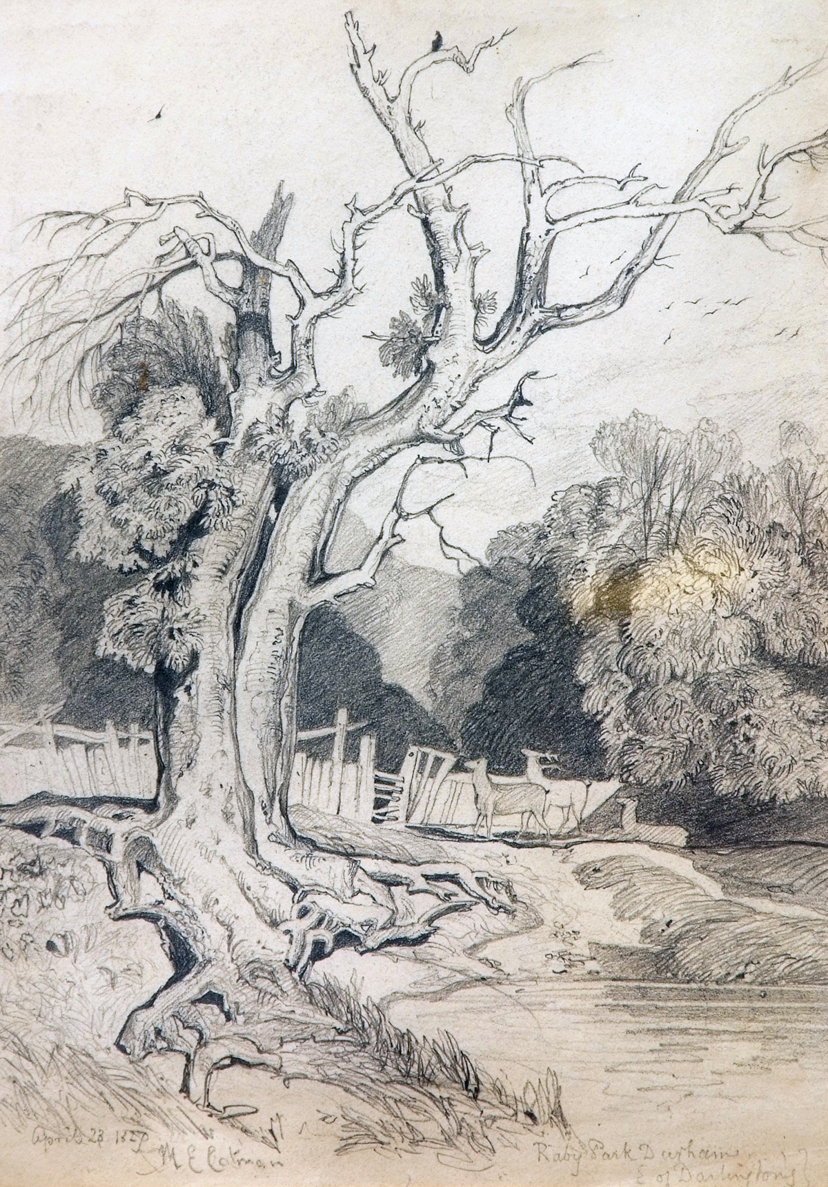 MILES EDMUND COTMAN (1810-1858, BRITISH)  ?Raby Park, Durham ? E of Darlingtons?  pencil drawing,