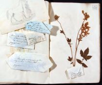 An old Album containing pressed flowers circa 1834 ? 1851 stated as thought to have been compiled