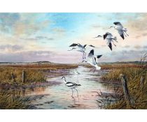 *CARL DONNER (CONTEMPORARY, BRITISH)  Avocets  watercolour, signed lower right  18 x 27 ins