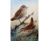 CARL DONNER (CONTEMPORARY, BRITISH)  Wrens  watercolour, signed lower right  6 x 4 ins