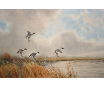 *GEORGE E EBBAGE (DIED 1967, BRITISH)  Pintail in Flight  watercolour, signed lower left  13 ½ x 21