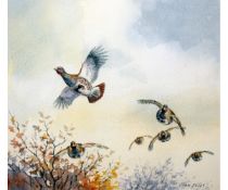 *JOHN PALEY EAGMA (CONTEMPORARY, BRITISH)  Partridge in Flight  watercolour, signed lower right
