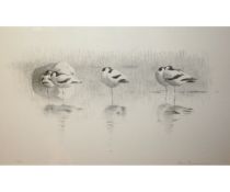 *LARS JONSSON (BORN 1952, SWEDISH)  Avocets  limited edition black and white lithograph, signed