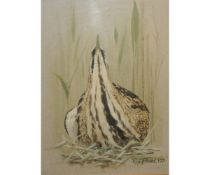 *REX GRATTAN FLOOD (1928-2009, BRITISH)  Bittern watercolour, signed and dated 1971 lower right