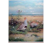 *RICHARD ROBJENT (BORN 1937, BRITISH)  Partridges  coloured print, signed lower right  19 x 14 ins